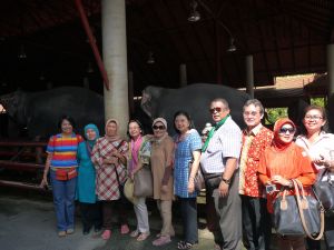 Berfoto di depan kandang gajah